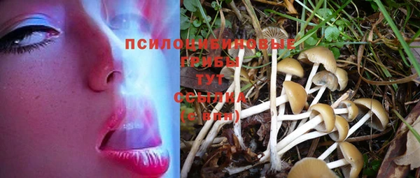 бутик Чегем