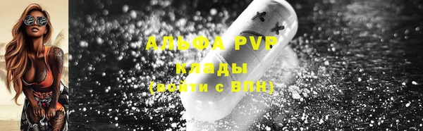 индика Магадан