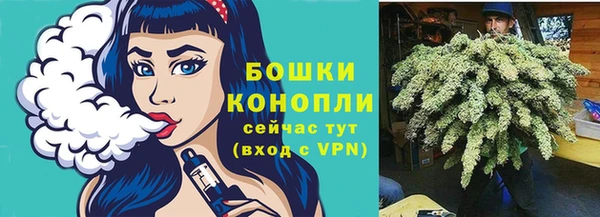индика Магадан