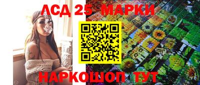 спиды Дубна