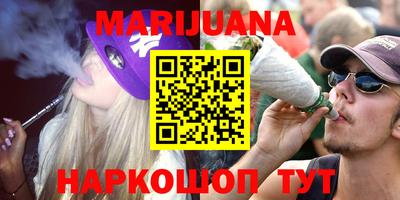 спиды Дубна