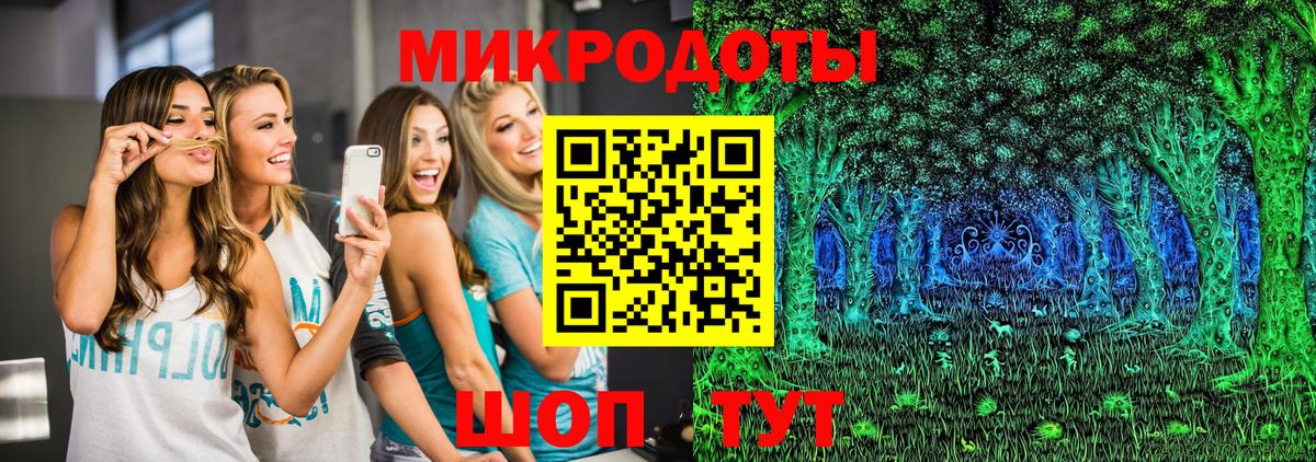 Псилоцибиновые грибы Psilocybine cubensis  Южноуральск 