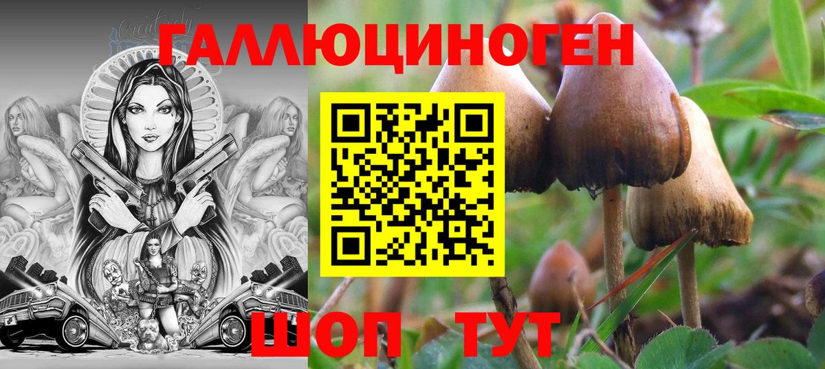 ГАШ  ГАШ  Мефедрон кристаллы  Южноуральск  Мефедрон   Кокаин  Где найти наркотики?  Марихуана  Лсд 25 