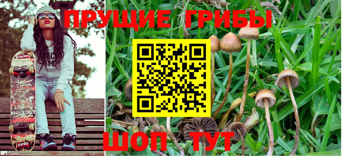Псилоцибиновые грибы GOLDEN TEACHER Южноуральск