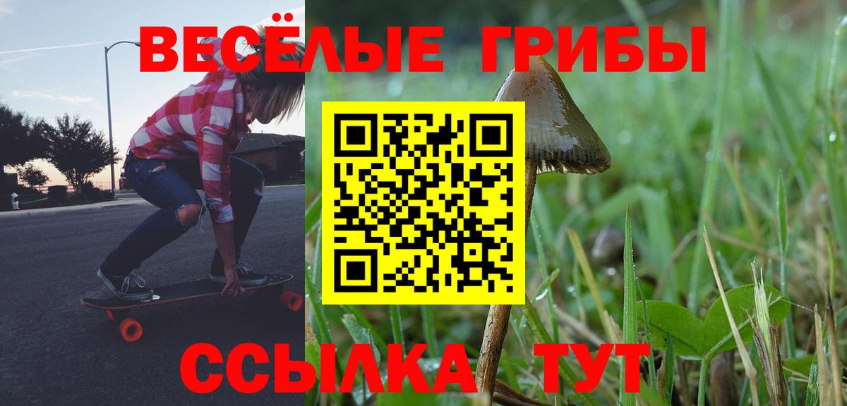 Галлюциногенные грибы прущие грибы  Псилоцибиновые грибы Psilocybe  Вход с VPN  Южноуральск 