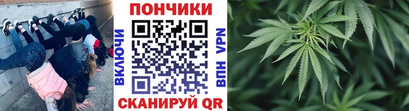 Бошки Шишки семена Южноуральск